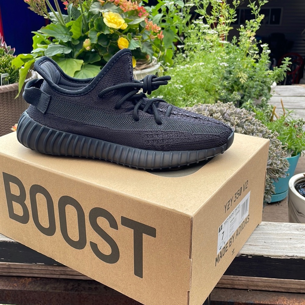 Yeezy Boost 350 V2